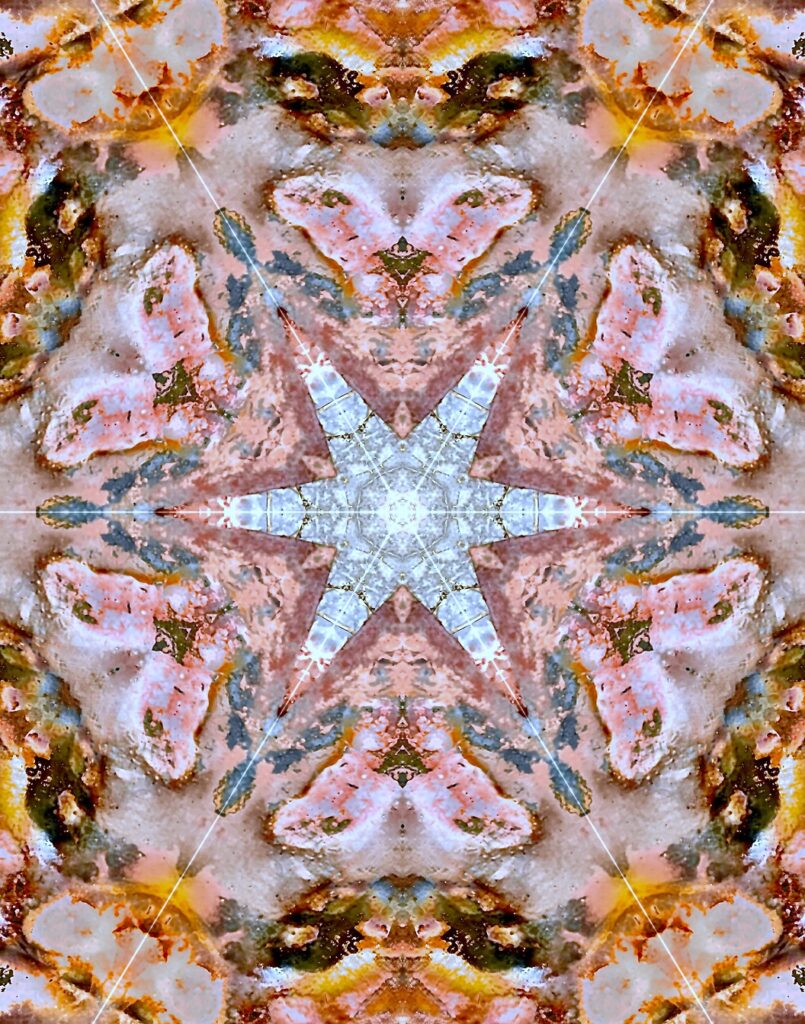 Why Me Keewee 1114 painting by David Berks