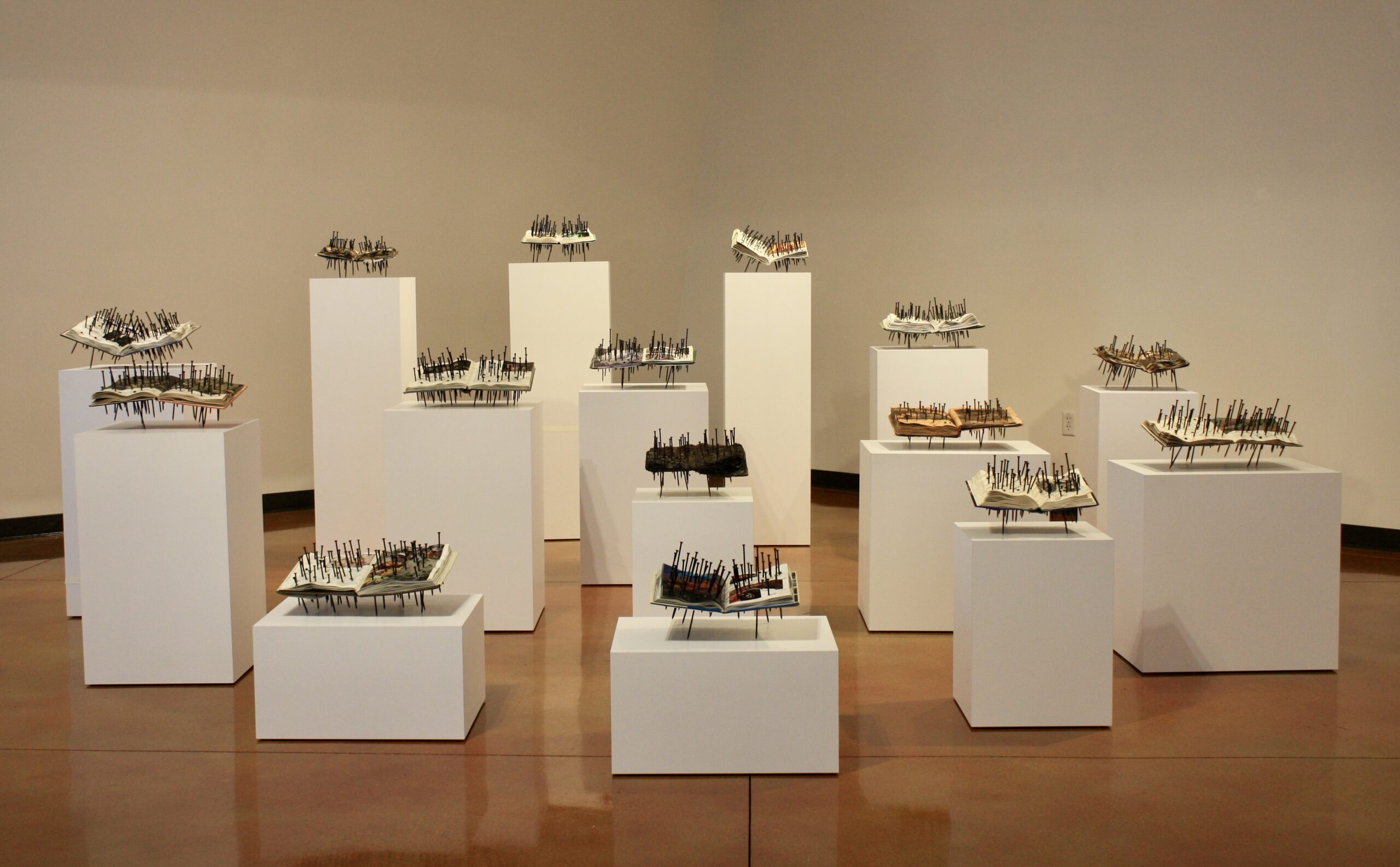 This installation invites viewers to contemplate our current climate crisis.