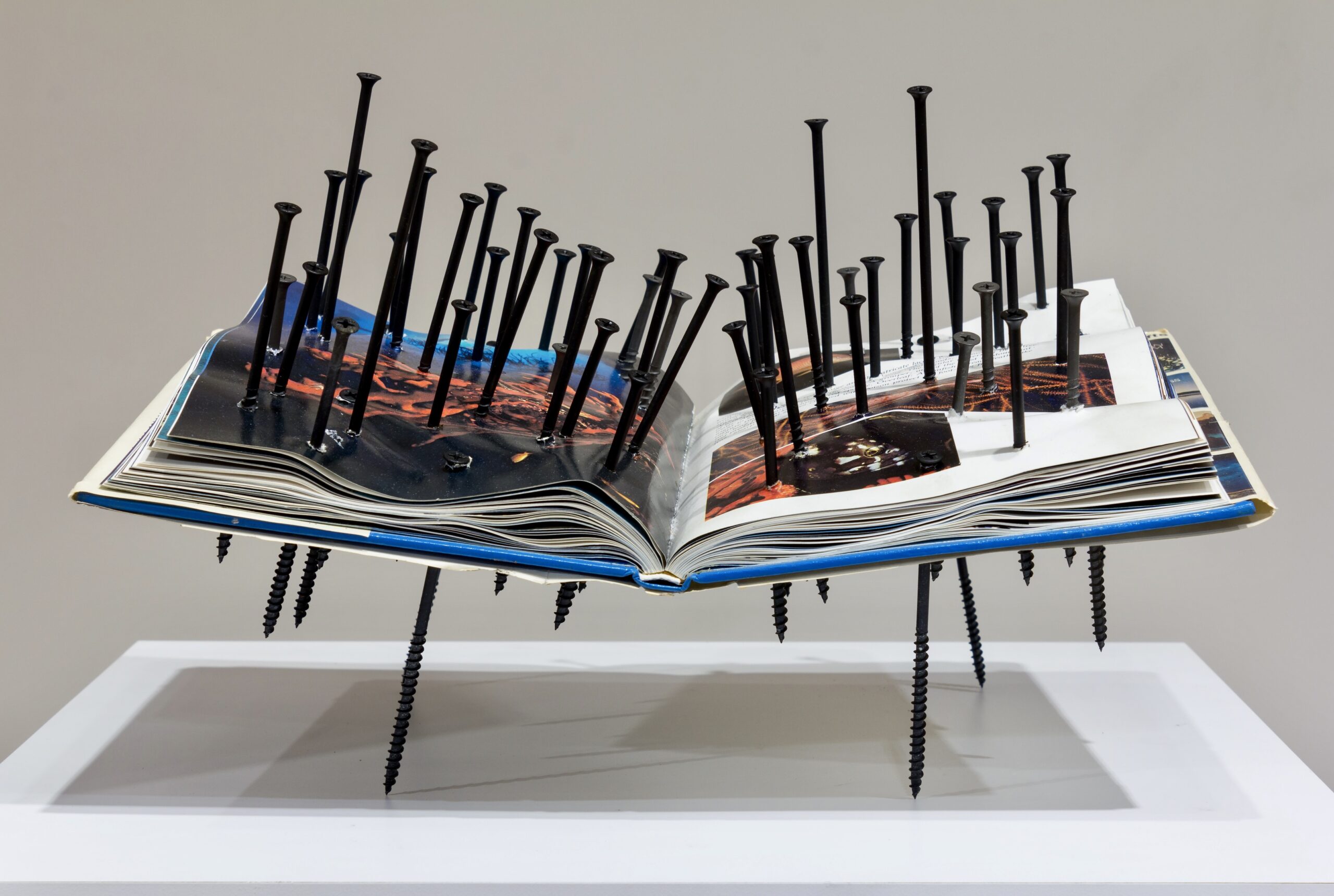 This book contained important scientific information was rendered unreadable.