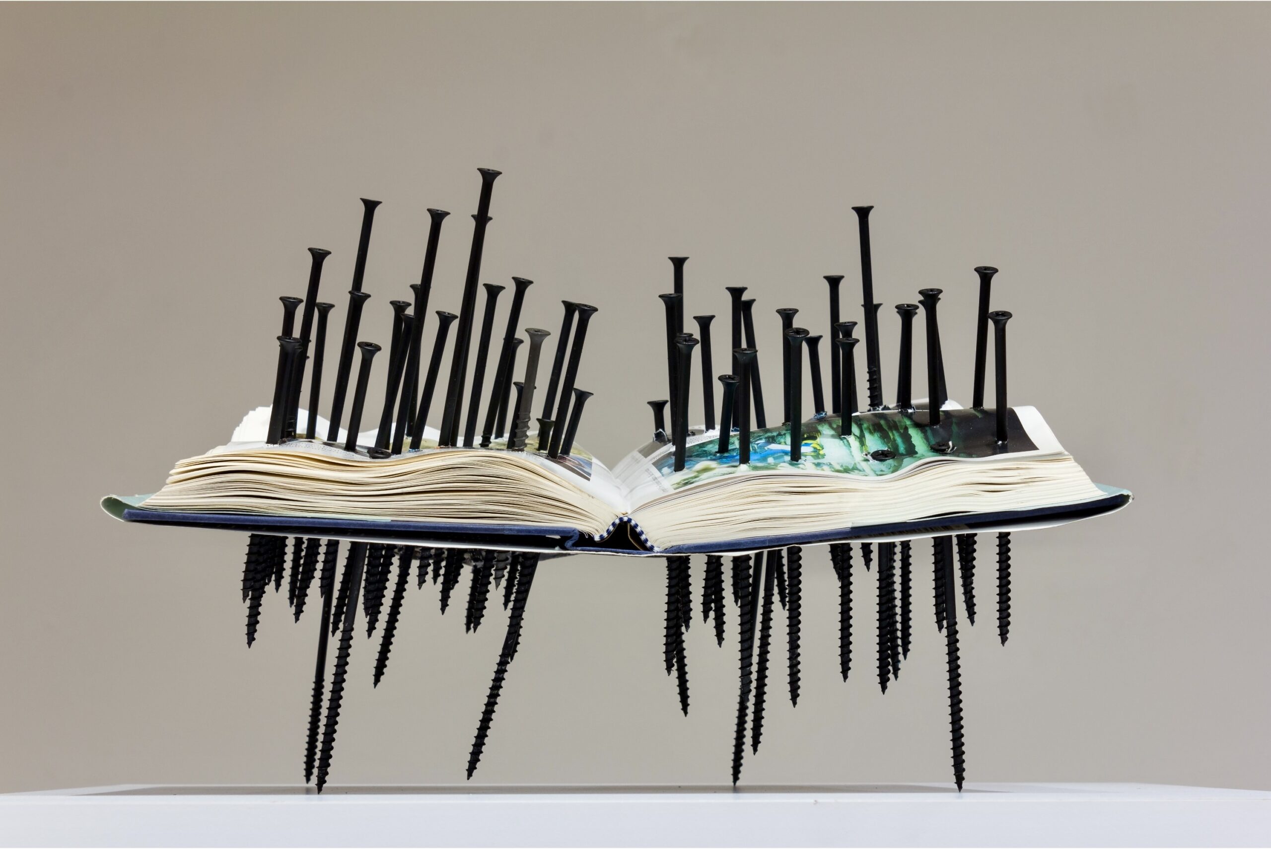 This book contained important scientific information was rendered unreadable.
